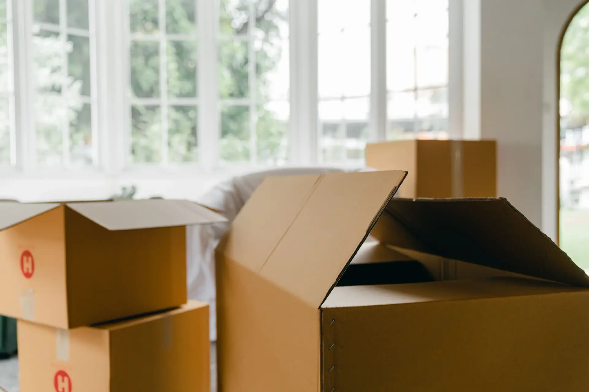 move in move out.webp